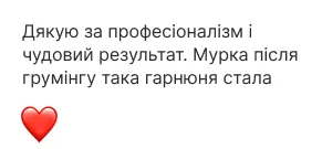 Отзыв клиента 4
