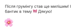 Отзыв клиента 9